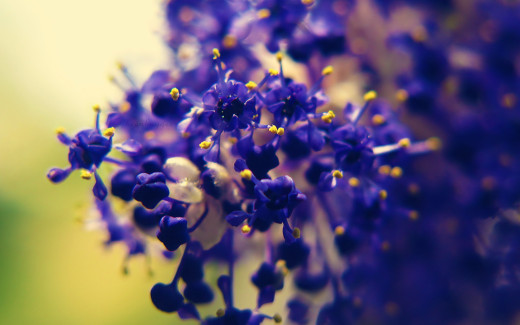 463803 (a): :1680x1050